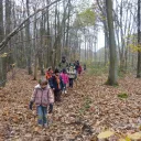 Planter des arbres en Sarthe avec le programme Forest&Life © Kinomé