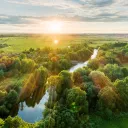 Forêts et environnement sous un autre angle avec Audrey Rousselle © iStock