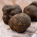 truffes