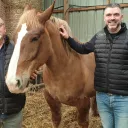 Jean-Jacques et Mathieu Séité, éleveurs de chevaux à Guilers @ Christophe Pluchon, RCF