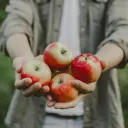 Synode : déjà des fruits ! ©Adobe STock