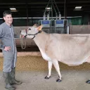 Eleveur au May-sur-Evre, Antoine Bureau présentera Nation, l'une de ses vaches jersiaises, au Salon de l'agriculture à Paris. ©RCF Anjou