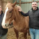 Jean-Jacques et Mathieu Seité, éleveurs de chevaux à Guilers © Christophe Pluchon, RCF