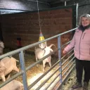 Christine Delecluse devant ses chèvres angora  © Rcf Hauts de France Anne Henry