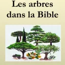 PEB75 - Les arbres dans la Bible © petiteecolebiblique.fr