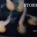 ballet storm©http://www.operagrandavignon.fr/spectacles/storm-emilio-calgano/