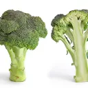 chou brocoli