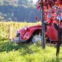 Citroën 2CV - © Georg Eiermann via Unsplash