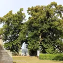 Le Tilleul de Jeanne d'Arc, à Vaucouleurs