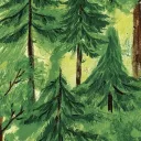 " L’âge de la forêt ", de Charline Collette - éditions la joie de lire