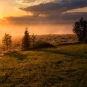 David-Zawila-UNSPLASH