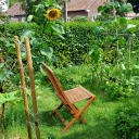 Jardin en permaculture, ©Terence Groos