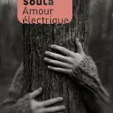 Amour électrique, de Denis Soula, aux éditions Joelle Losfeld.