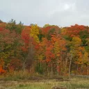 Paysage Montreal