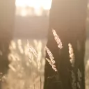 michal-bielejewski-UNSPLASH