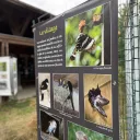 "Expositions nature" à Der Nature 