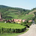 Vignoble d'Alsace vu depuis Niedermorschwihr ©Wikimédia commons