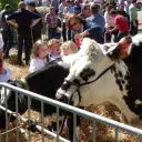 La Foire du Mans, l'occasion pour nos agriculteurs d'expliquer leur métier au grand public (source : https://www.paris-normandie.fr/)