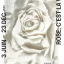 Rose c'est la vie musée Gassendi