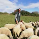 Laurent, éleveur ovin à Coulans sur Gée