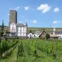 Ambiance viticole à Rüdesheim am Rhein