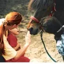 Wikipédia - Contact entre un enfant et un cheval