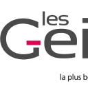 Logo GEIQ