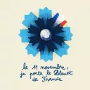 Le bleuet de France, en hommage aux morts pour la France le 11 novembre © Ministère des armées
