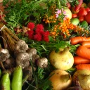 Wikimedia Commons - fruits et légumes cultivés en agriculture biologique