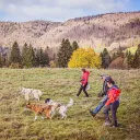 Mijoux Pays de Gex – marche sportive avec des chiens ©Conseil départemental Ain