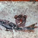 Pain et poisson (symboles paléochrétiens), catacombe de Saint-Calixte, Rome ©Wikimédia commons