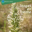 Illustrations scientifiques, animalières et botaniques, un des stages proposés par le CPIE Brenne Berry.