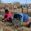 Vendredi 13 janvier 2023, des élèves de l'école Nelson-Mandela ont participé à la plantation d'une mini-forêt dans le quartier des Hauts de Saint-Aubin à Angers. ©RCF Anjou