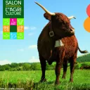 Affiche Salon International de l'agriculture 2023