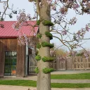 Parmi les nouveautés 2023 du parc du végétal Terra Botanica, des oeuvres de land-art comme ces Tree Hugs créés par l'artiste Monsieur Plant. ©RCF Anjou