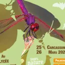 6èmes rencontres naturalistes de l'Aude