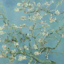 Amandier en fleurs Vincent Van Gogh
