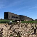 Recouverte de liège, la cave d'Assignan du Château Castigno