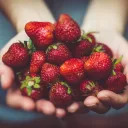fraises © pixabay