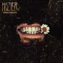 Hozier - Damage Gets Done