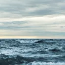 Les océans atteignent des températures historiques jusqu’à 20,96 degrés selon Copernicus. ©Ant Rozetsky / Unsplash