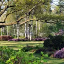 Arboretum d'Orléans