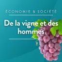 De la vigne et des hommes_RCF17