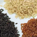 Variétés de riz de Camargue