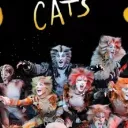 Comédie musicale "Cats"