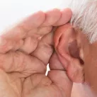 lobe.ca
