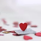 https://www.pexels.com/