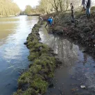 Renaturation des berges de la Deûle © Ville de Lille