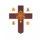 DR RCF