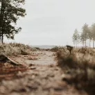 © Unsplash